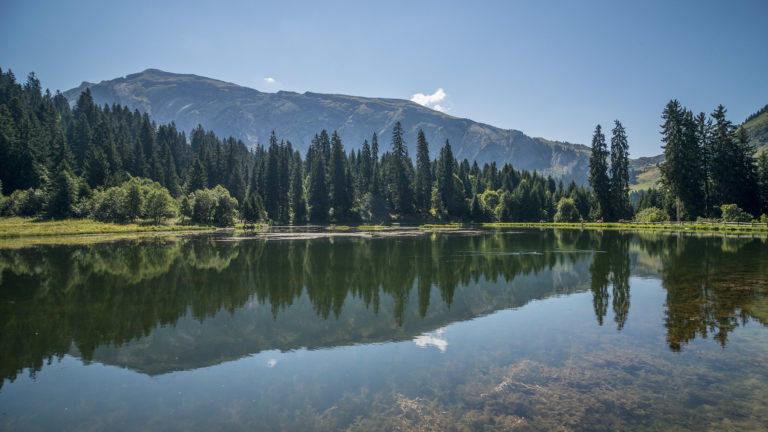 Vue sur le lac des mines d'or en été