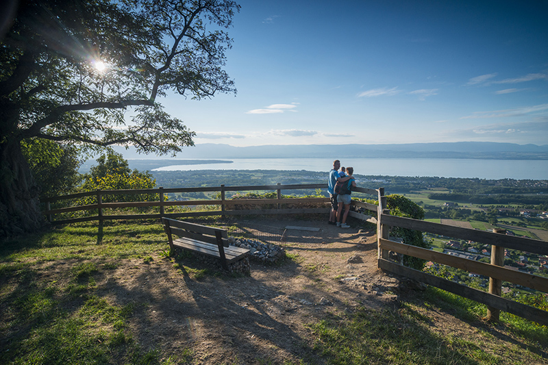 Vue sur le lac Léman depuis le Château des Allinges