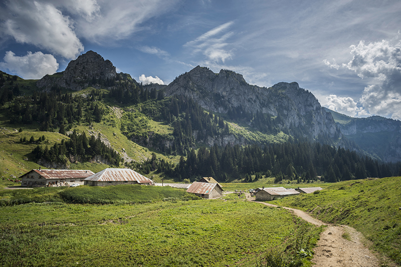 Vue de l'alpage de Bises