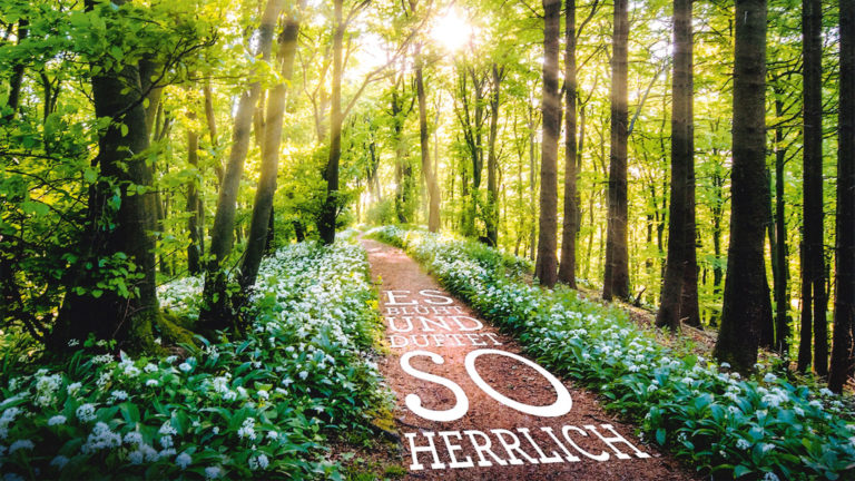 Terra vita geopark en allemagne