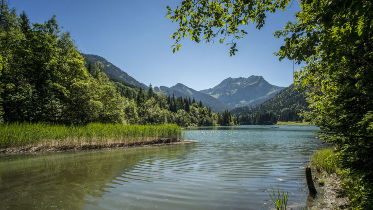 Au bord du lac de Vallon