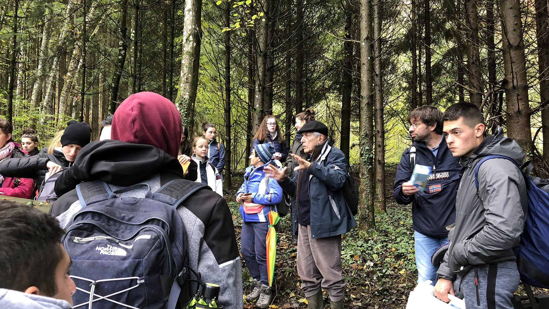 Etudiants en forêt dans le géoparc du chablais