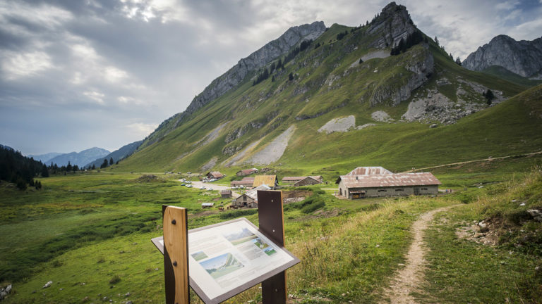 Les cornettes de Bise en vallée d'Abondance