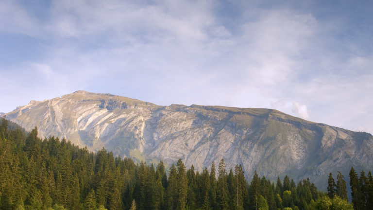 Les Rouleaux de Bostan