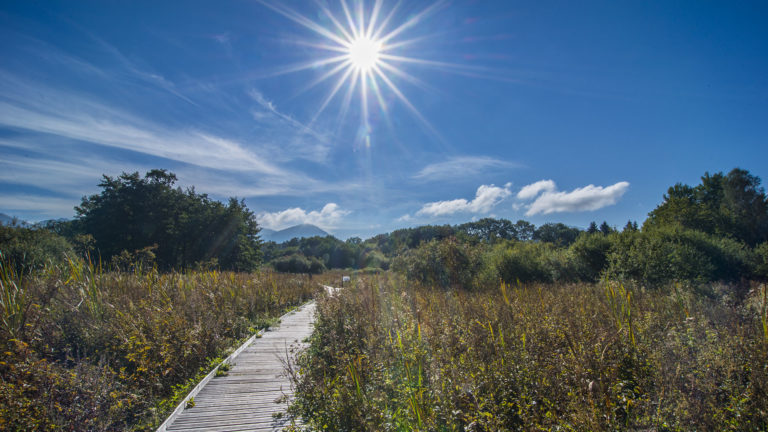 Le soleil brille au dessus du marais du maravant