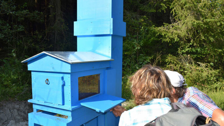 2 personnes regardent l'intérieur de la ruche pédagogique du géoparc chablais