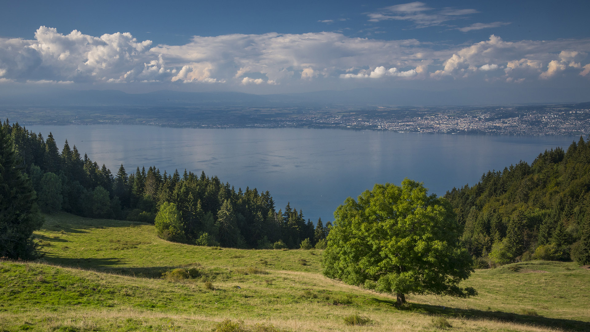 Vue sur le lac Léman depuis Bernex