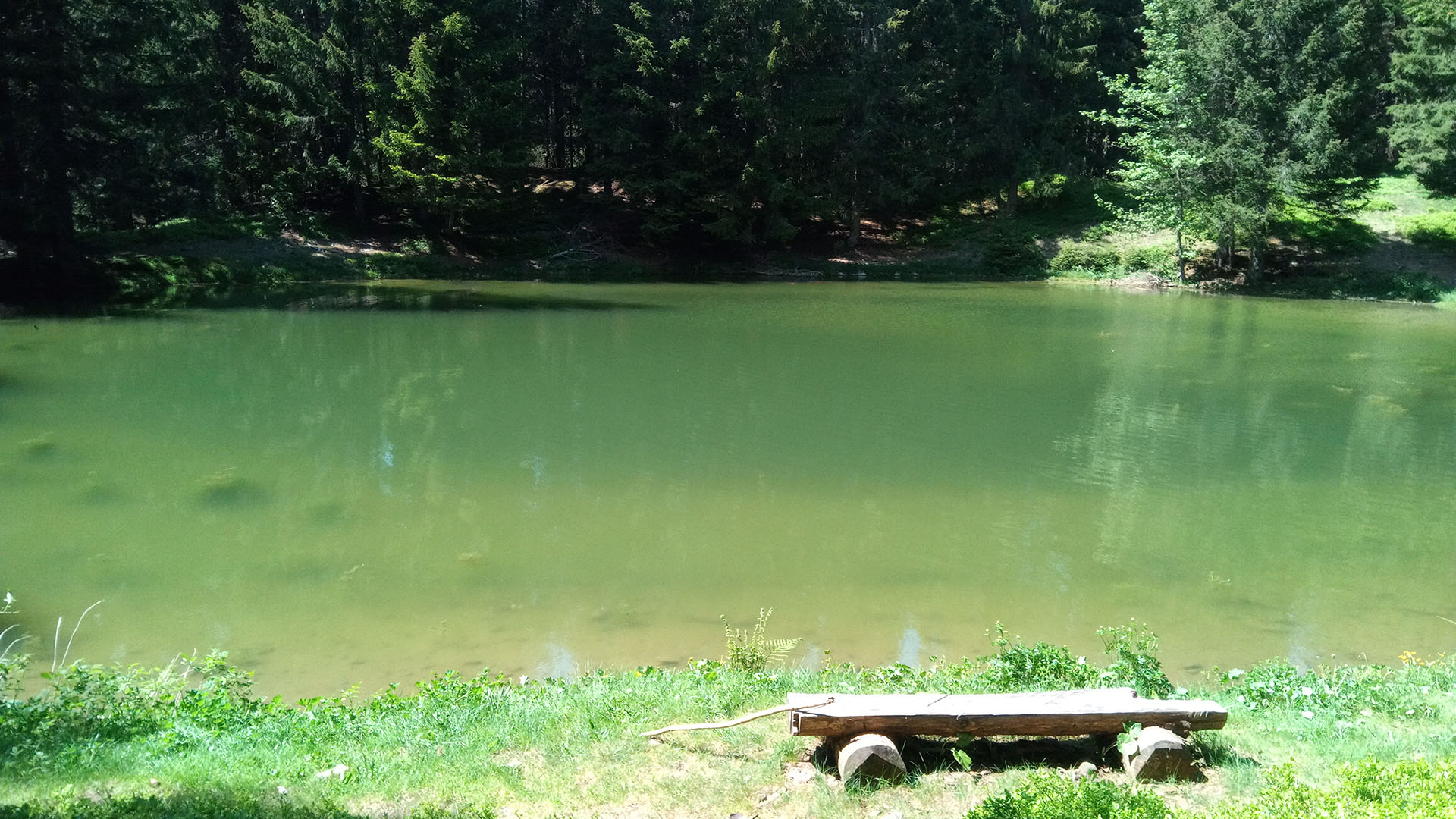 Vue d'un joli lac vert de montagne